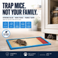 Indoor Mouse Glue Trap - image 4