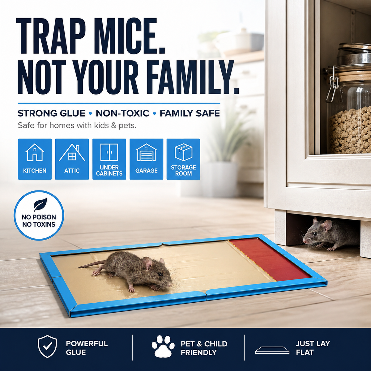Indoor Mouse Glue Trap - image 4