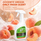 Multi-Purpose Enzyme Cleaner for Kitchen & Home