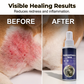 Natural Flea & Tick Spray for Dogs and Cats
