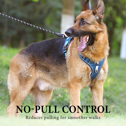 No-Pull Dog Harness with Leash & LED Collar - image 1