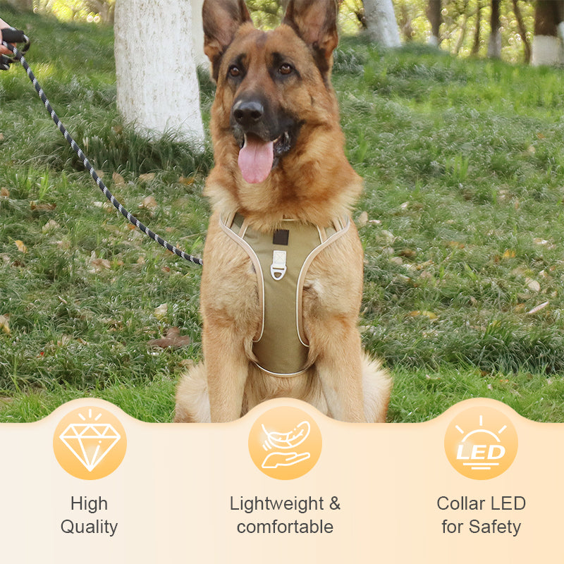 No-Pull Dog Harness with Leash & LED Collar - image 2