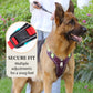 No-Pull Dog Harness with Leash & LED Collar - image 3