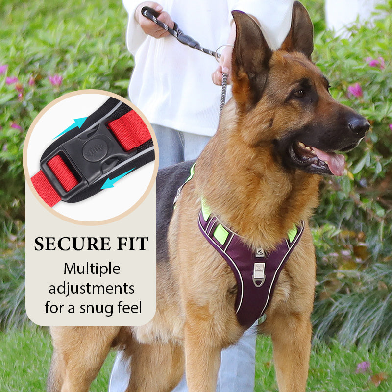 No-Pull Dog Harness with Leash & LED Collar - image 3
