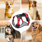 No-Pull Dog Harness with Leash & LED Collar - image 5