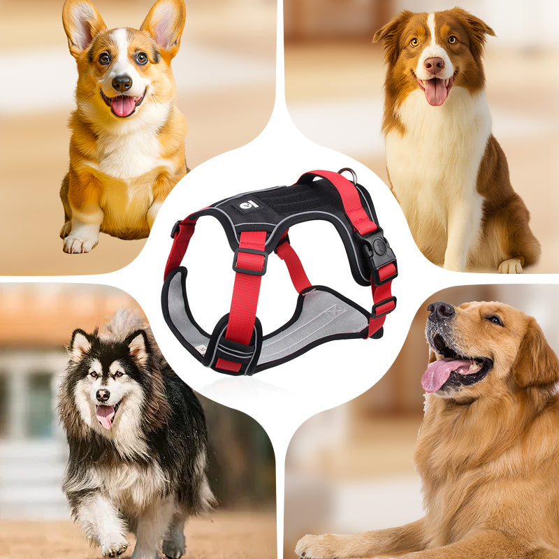 No-Pull Dog Harness with Leash & LED Collar - image 5